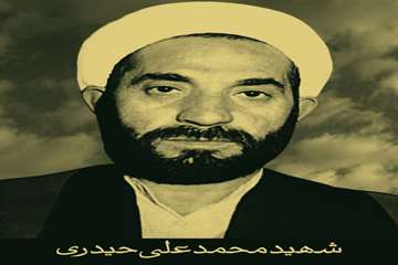 تصویر شهید قاب شده در صحن علنی مجلس